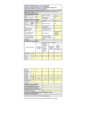 Congélateur coffre Thomson TCH253E